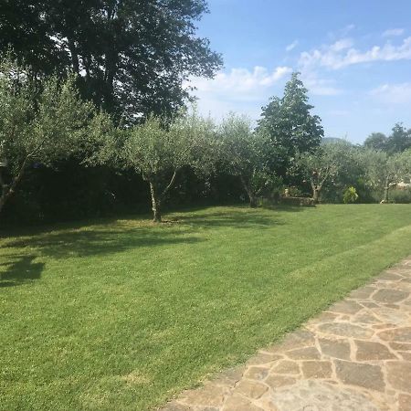 Cezarji Apartments Vidovic المظهر الخارجي الصورة